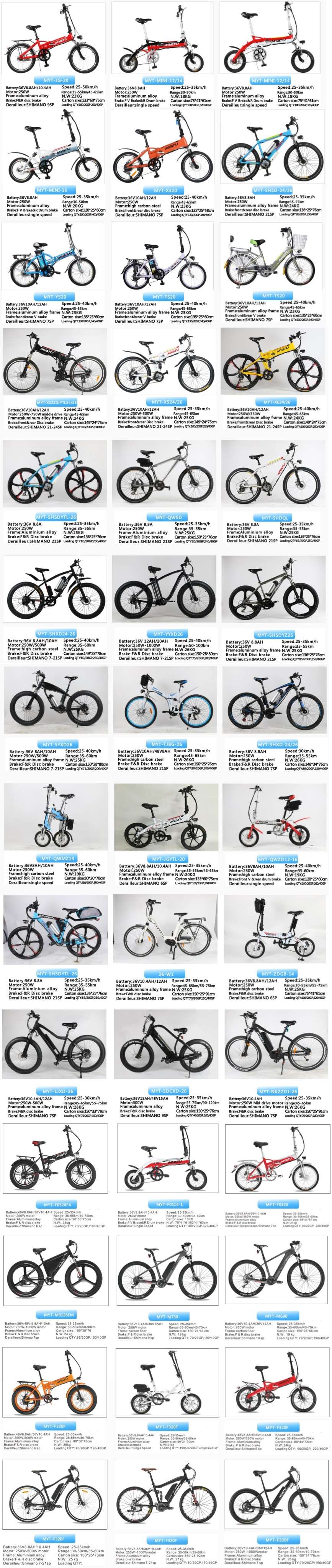 OEM Electirc Bikes Photo Gallery.JPG